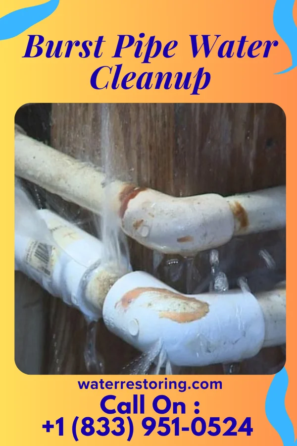 Burst Pipe Water Cleanup in Beloit, OH