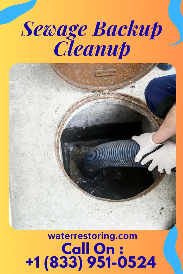Sewage Backup Cleanup in Beloit, OH