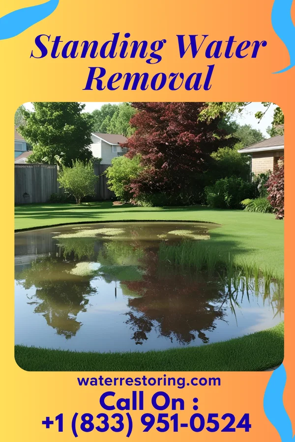 Standing Water Removal in Beloit, OH
